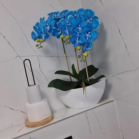 Daire Angel Kolobrzeg